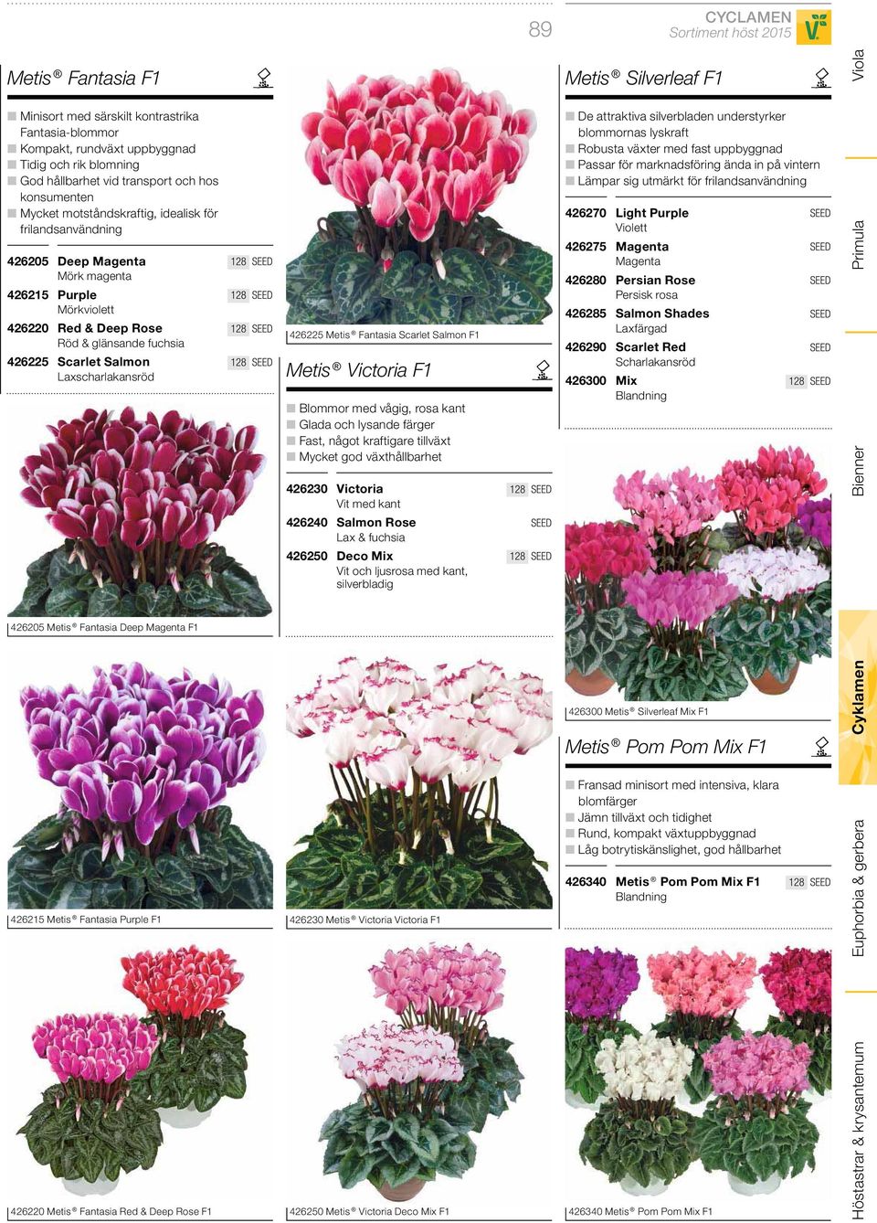 Metis Fantasia Deep Magenta F1 426215 Metis Fantasia Purple F1 426220 Metis Fantasia Red & Deep Rose F1 426225 Metis Fantasia Scarlet Salmon F1 Metis Victoria F1 Blommor med vågig, rosa kant Glada