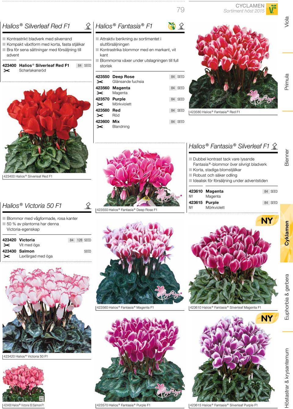 Laxfärgad med öga 423420 Halios Victoria 50 F1 423430 Halios Victoria 50 Salmon F1 84 Halios Fantasia F1 Attraktiv berikning av sortimentet i slutförsäljningen Kontrastrika blommor med en markant,