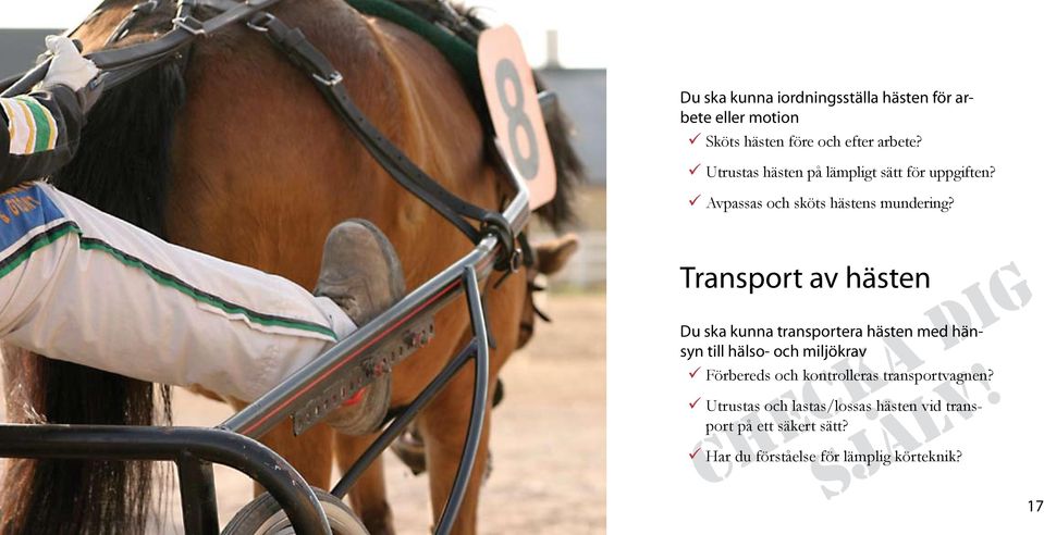 Transport av hästen Du ska kunna transportera hästen med hänsyn till hälso- och miljökrav Förbereds och