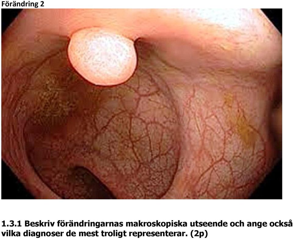 makroskopiska utseende och ange