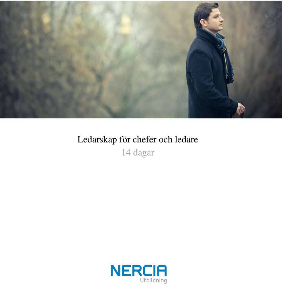 chefer
