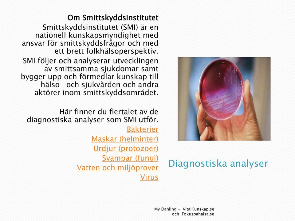 SMI följer och analyserar utvecklingen av smittsamma sjukdomar samt bygger upp och förmedlar kunskap till hälso- och sjukvården