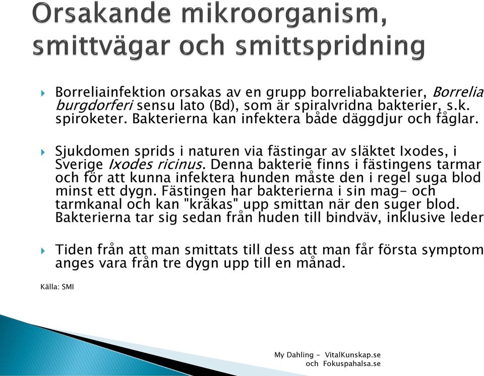 Denna bakterie finns i fästingens tarmar och för att kunna infektera hunden måste den i regel suga blod minst ett dygn.