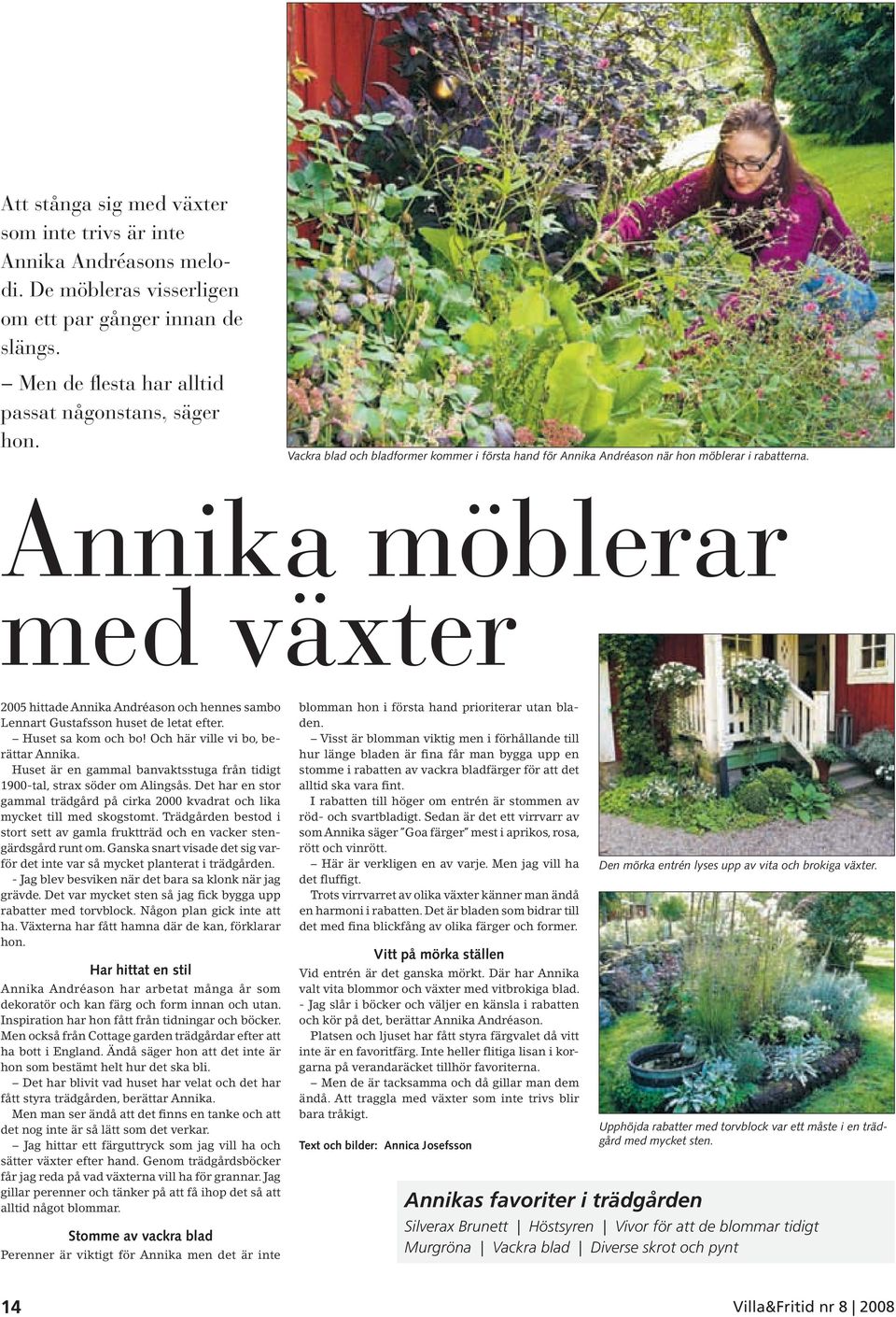 Annika möblerar med växter 2005 hittade Annika Andréason och hennes sambo Lennart Gustafsson huset de letat efter. Huset sa kom och bo! Och här ville vi bo, berättar Annika.