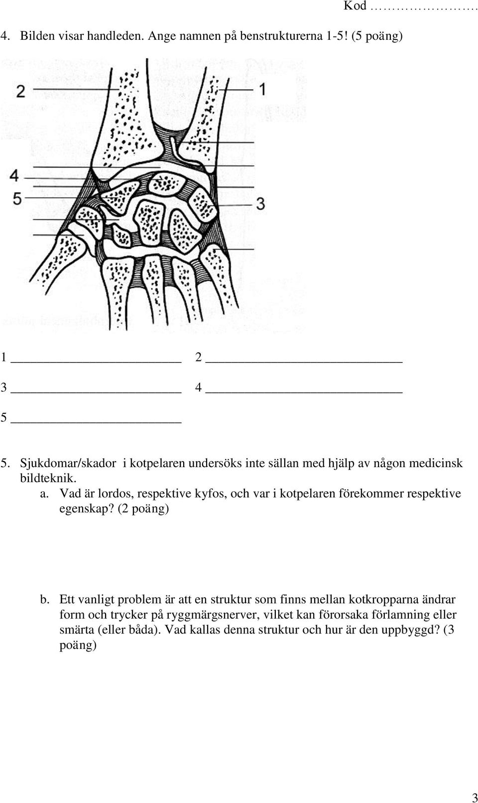 någon medicinsk bildteknik. a. Vad är lordos, respektive kyfos, och var i kotpelaren förekommer respektive egenskap? (2 poäng) b.