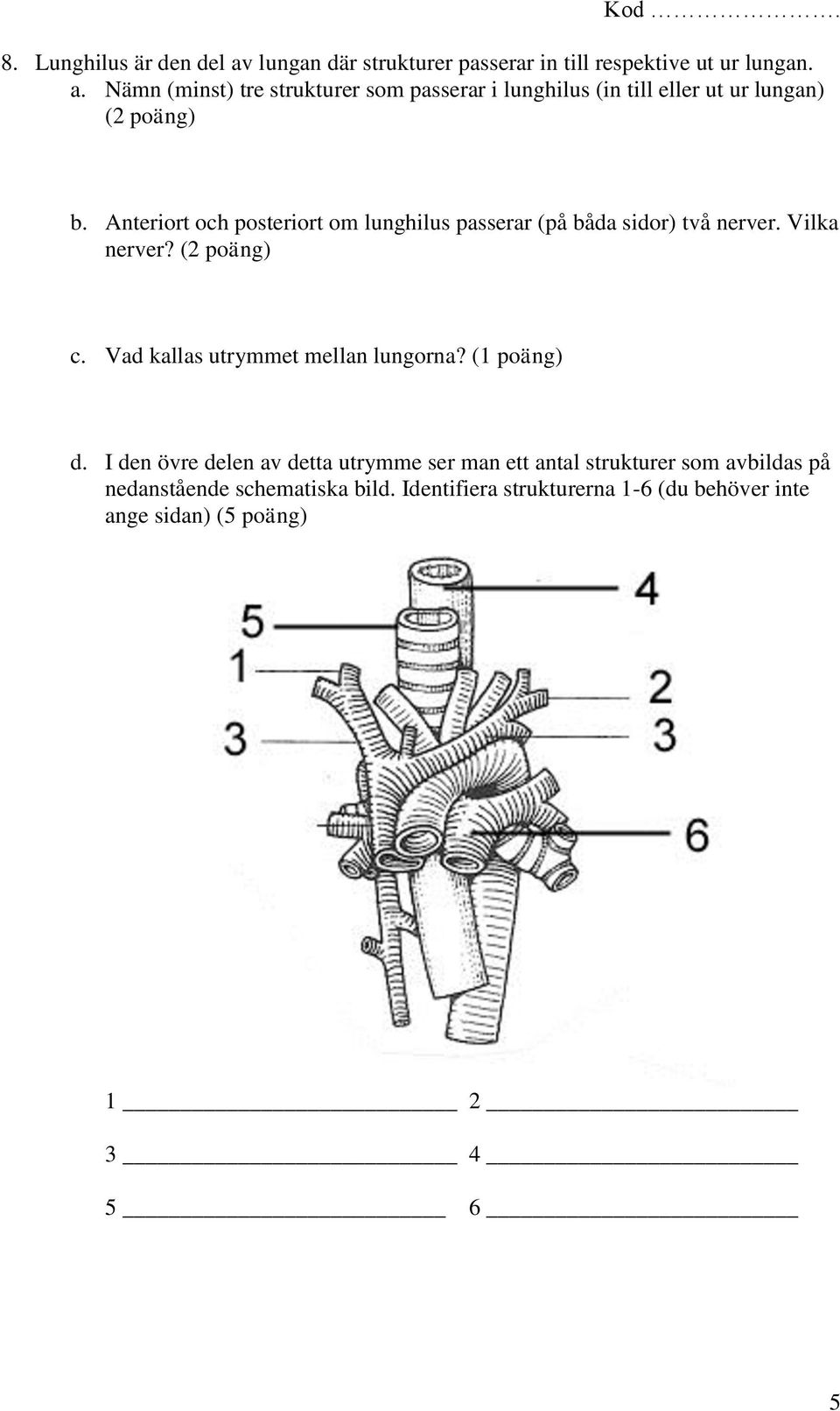 Vad kallas utrymmet mellan lungorna? (1 poäng) d.