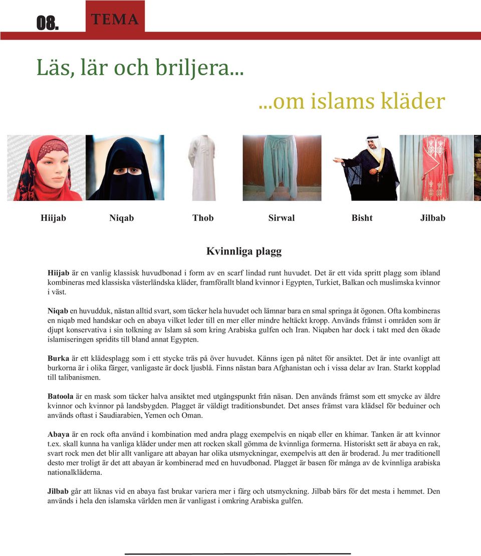 Niqab en huvudduk, nästan alltid svart, som täcker hela huvudet och lämnar bara en smal springa åt ögonen.