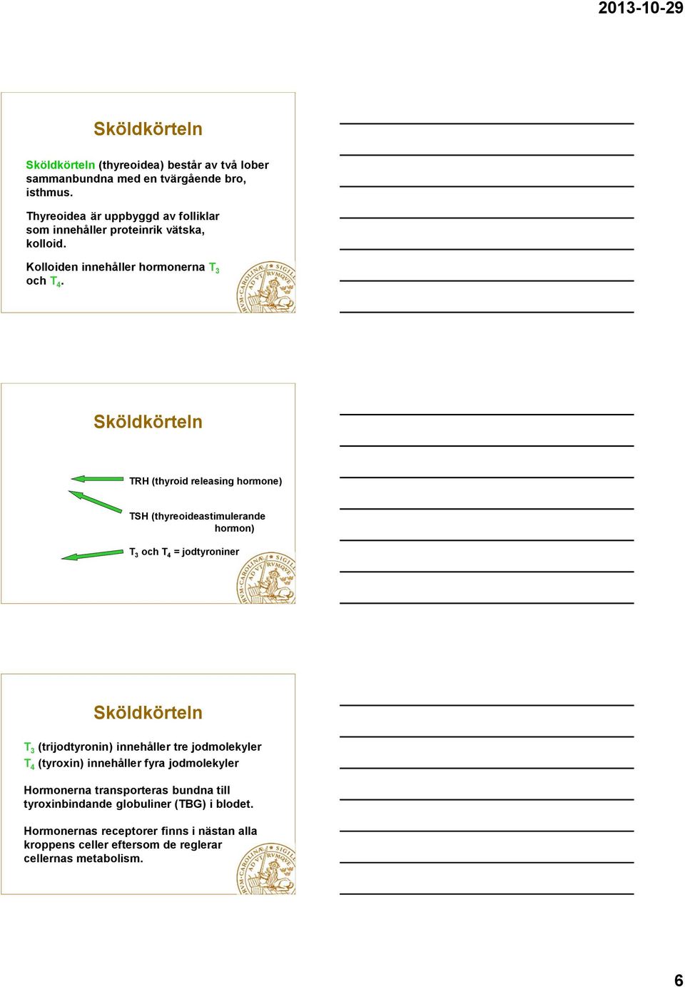 Sköldkörteln TRH (thyroid releasing hormone) TSH (thyreoideastimulerande hormon) T 3 och T 4 = jodtyroniner Sköldkörteln T 3 (trijodtyronin) innehåller tre