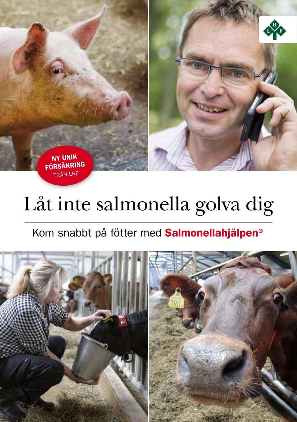 golva dig Kom snabbt på