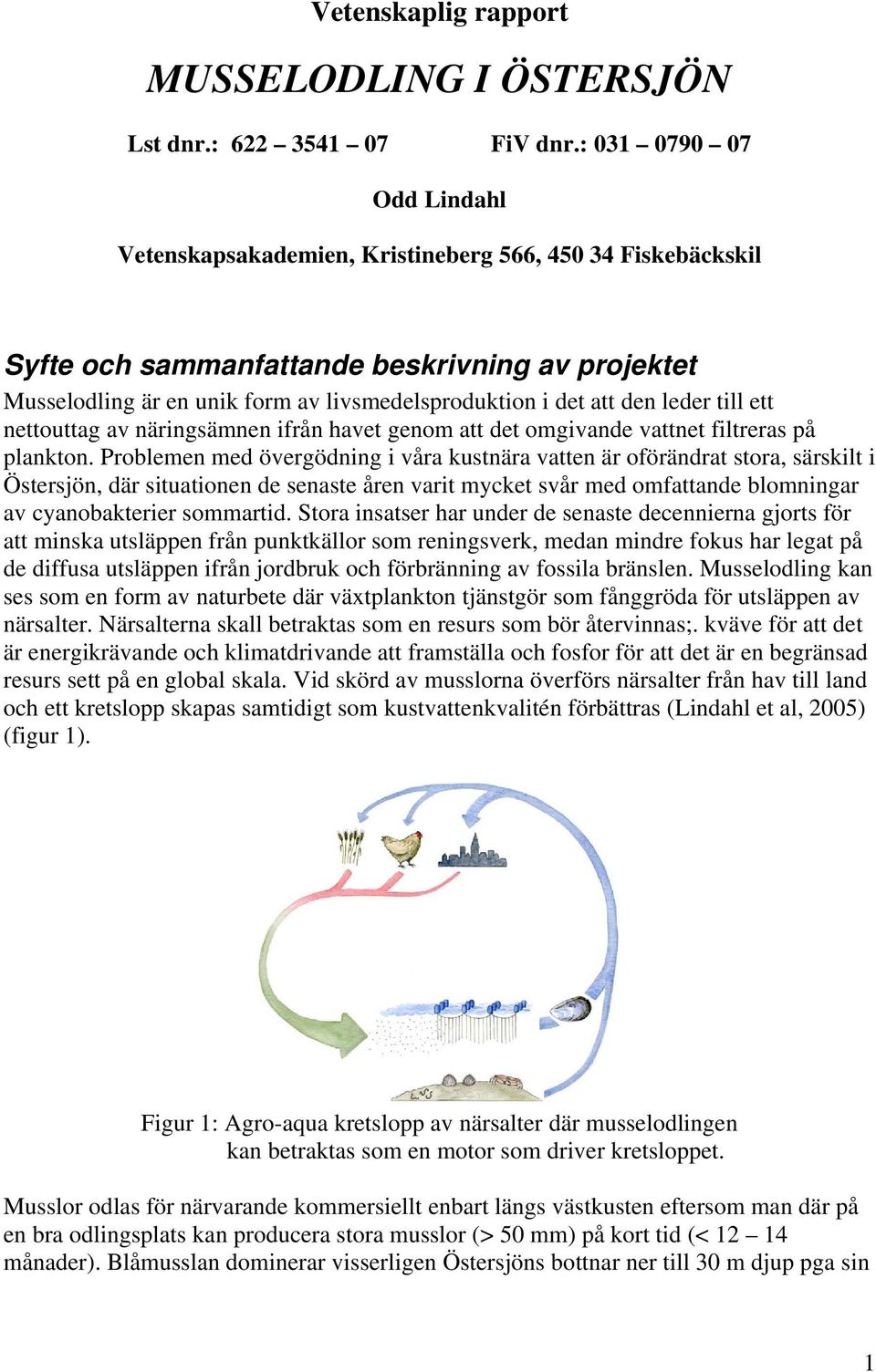 den leder till ett nettouttag av näringsämnen ifrån havet genom att det omgivande vattnet filtreras på plankton.