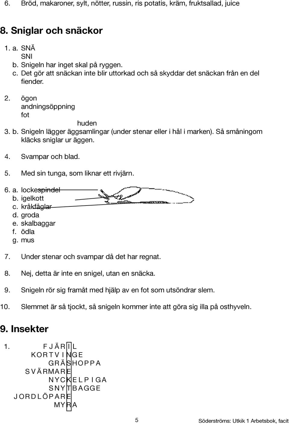 Så småningom kläcks sniglar ur äggen. 4. Svampar och blad. 5. Med sin tunga, som liknar ett rivjärn. 6. a. lockespindel b. igelkott c. kråkfåglar d. groda e. skalbaggar f. ödla g. mus 7.