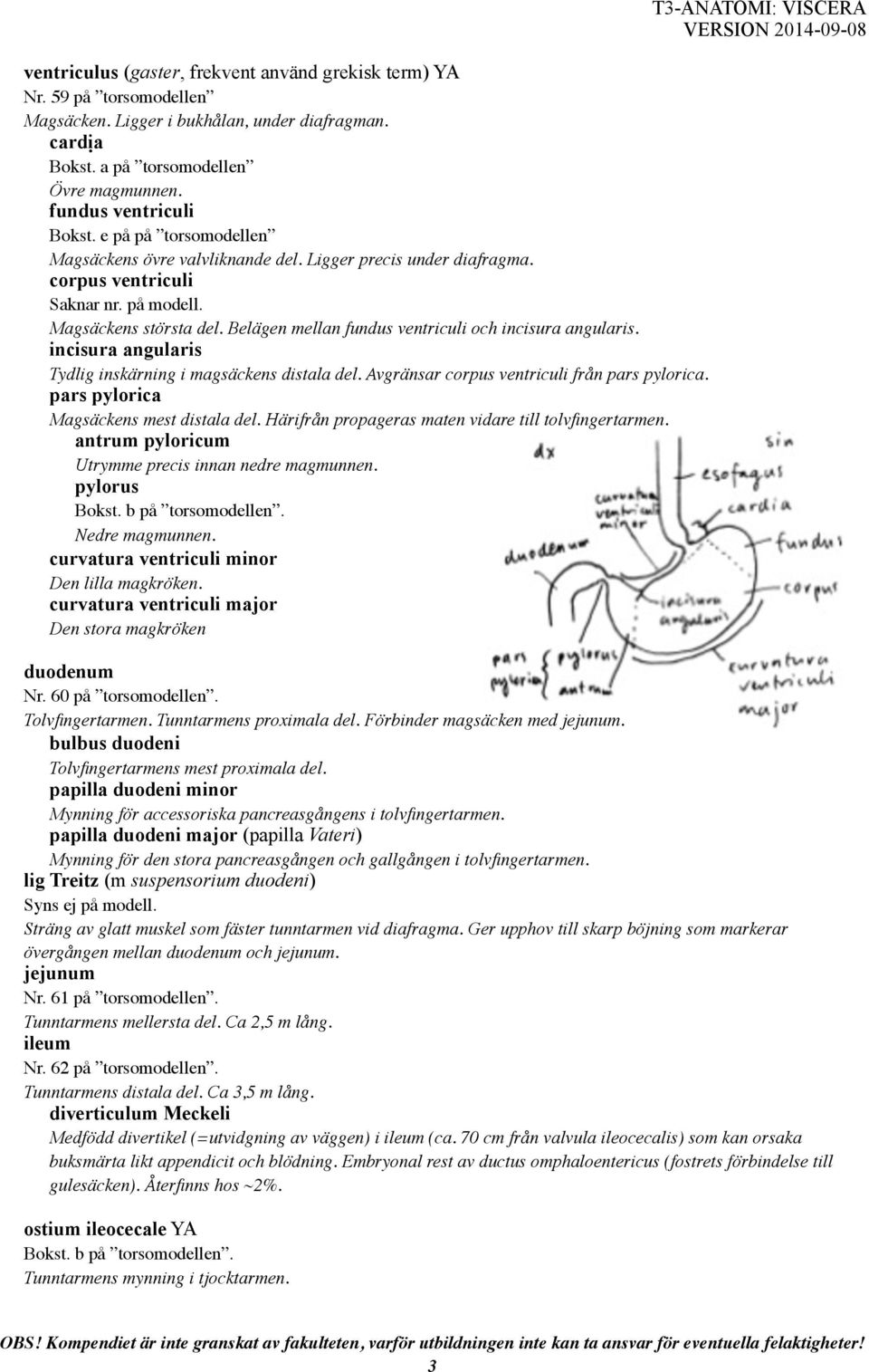 Belägen mellan fundus ventriculi och incisura angularis. incisura angularis Tydlig inskärning i magsäckens distala del. Avgränsar corpus ventriculi från pars pylorica.