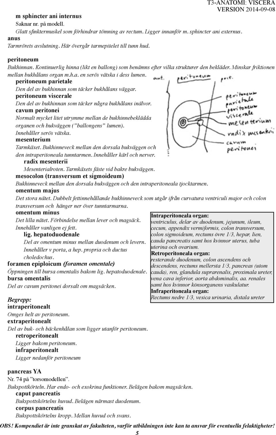 peritoneum parietale Den del av bukhinnan som täcker bukhålans väggar. peritoneum viscerale Den del av bukhinnan som täcker några bukhålans inälvor.