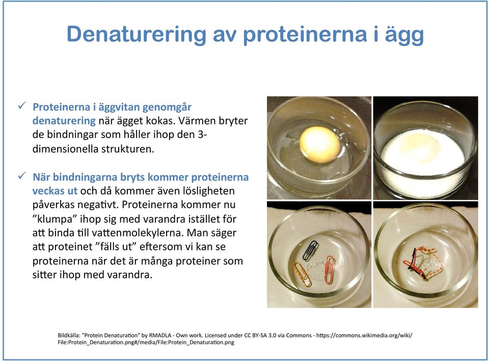 ü När bindningarna bryts kommer proteinerna veckas ut och då kommer även lösligheten påverkas negaevt.