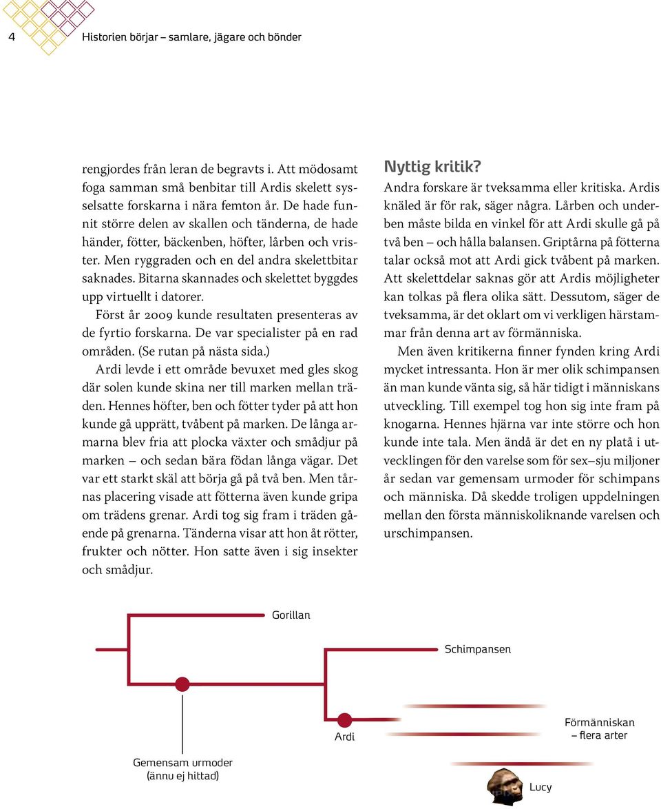 Bitarna skannades och skelettet byggdes upp virtuellt i datorer. Först år 2009 kunde resultaten presenteras av de fyrtio forskarna. De var specialister på en rad områden. (Se rutan på nästa sida.