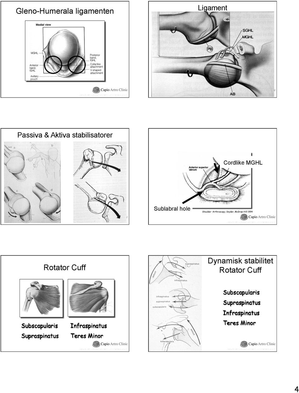 McGraw-Hill 1994 Dynamisk stabilitet Rotator Cuff Subscapularis