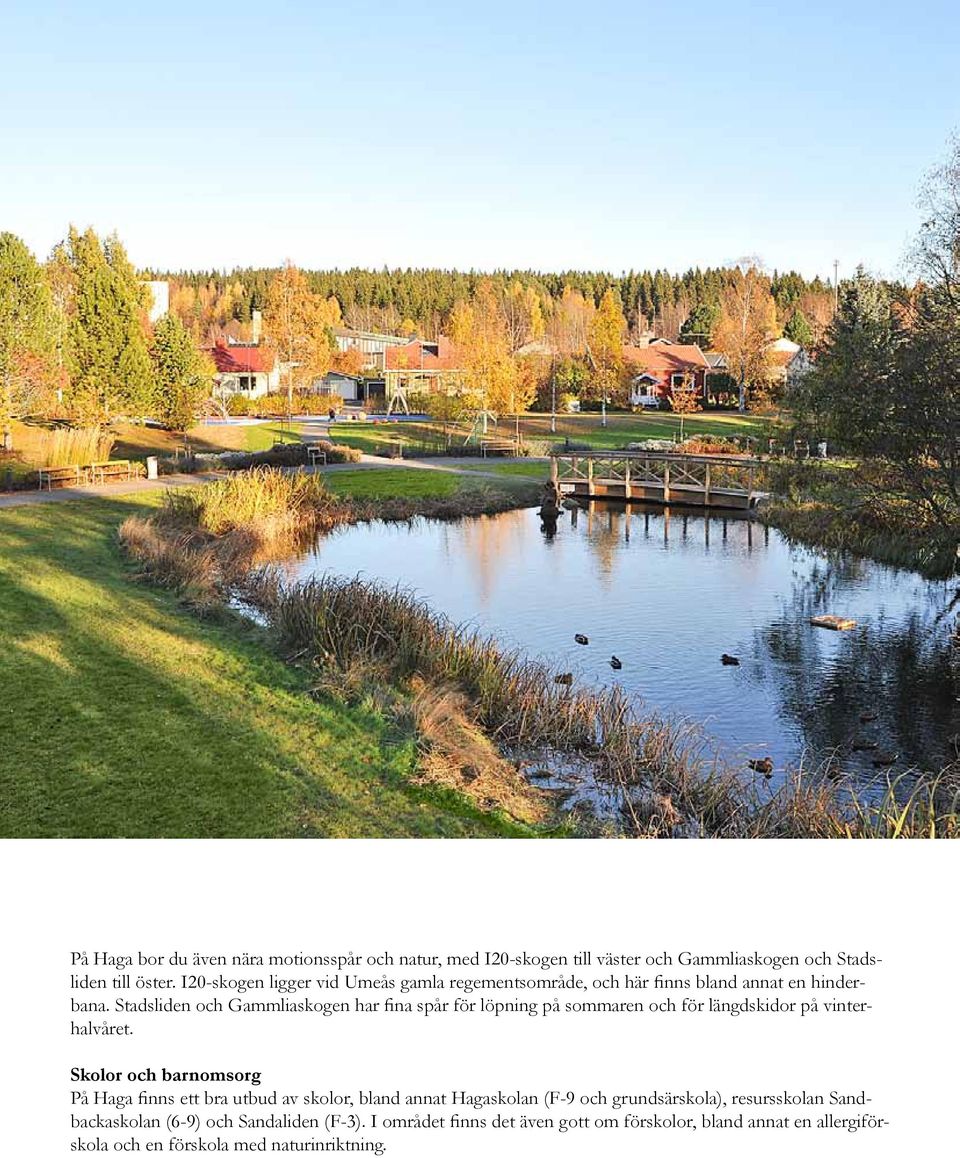 Stadsliden och Gammliaskogen har fina spår för löpning på sommaren och för längdskidor på vinterhalvåret.