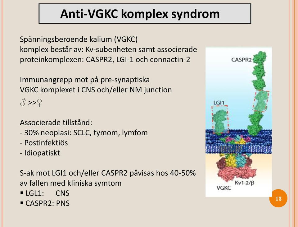 och/eller NM junction >> Associerade tillstånd: - 30% neoplasi: SCLC, tymom, lymfom - Postinfektiös -