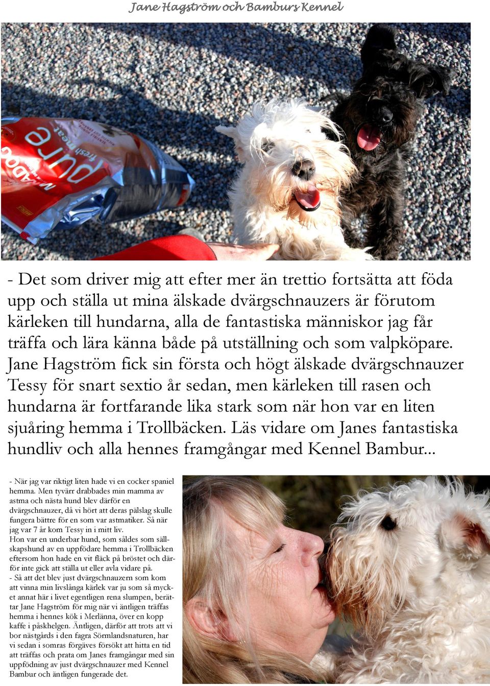 Jane Hagström fick sin första och högt älskade dvärgschnauzer Tessy för snart sextio år sedan, men kärleken till rasen och hundarna är fortfarande lika stark som när hon var en liten sjuåring hemma i