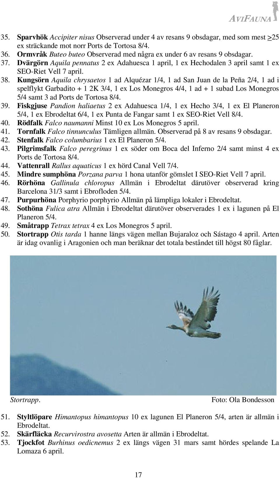 Kungsörn Aquila chrysaetos 1 ad Alquézar 1/4, 1 ad San Juan de la Peña 2/4, 1 ad i spelflykt Garbadito + 1 2K 3/4, 1 ex Los Monegros 4/4, 1 ad + 1 subad Los Monegros 5/4 samt 3 ad Ports de Tortosa