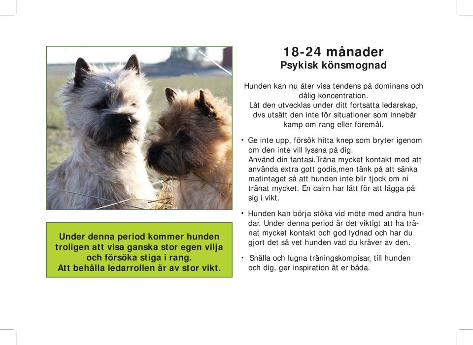 Ge inte upp, försök hitta knep som bryter igenom om den inte vill lyssna på dig. Använd din fantasi.