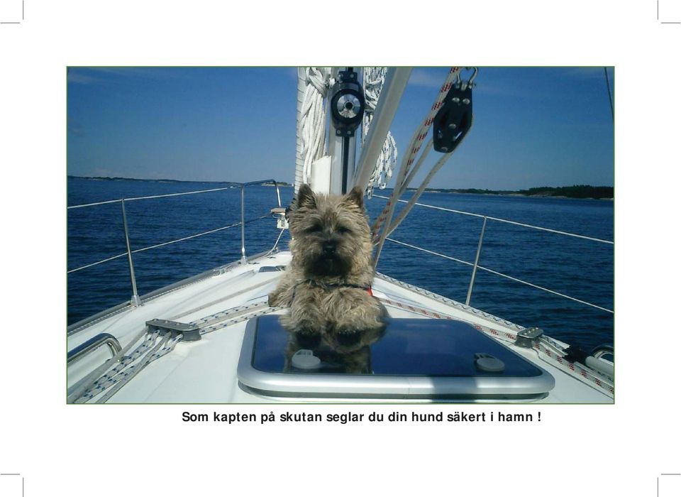 du din hund