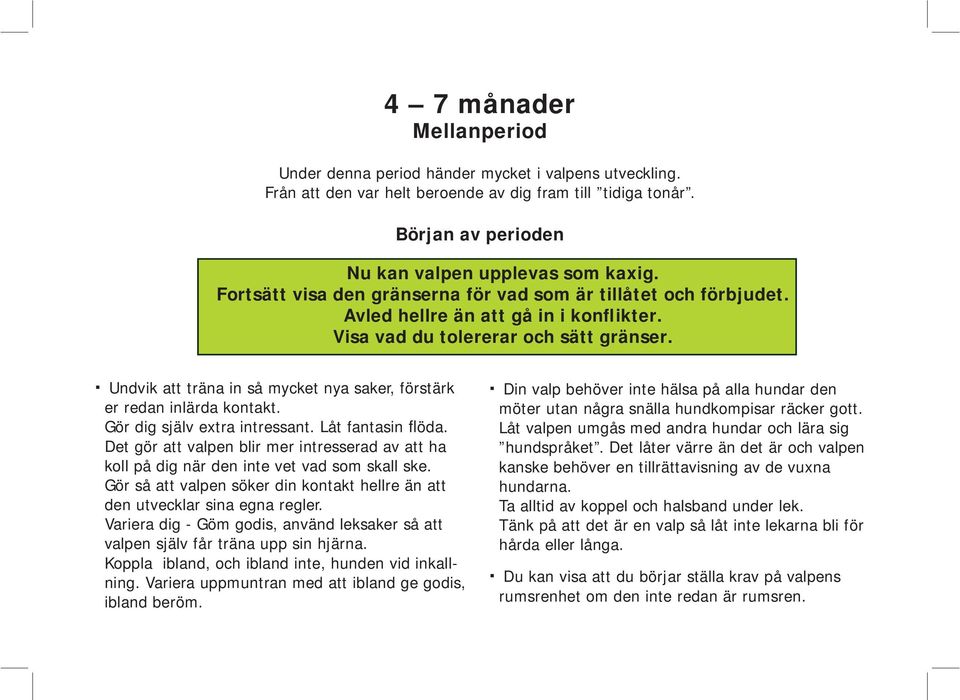 Undvik att träna in så mycket nya saker, förstärk er redan inlärda kontakt. Gör dig själv extra intressant. Låt fantasin flöda.