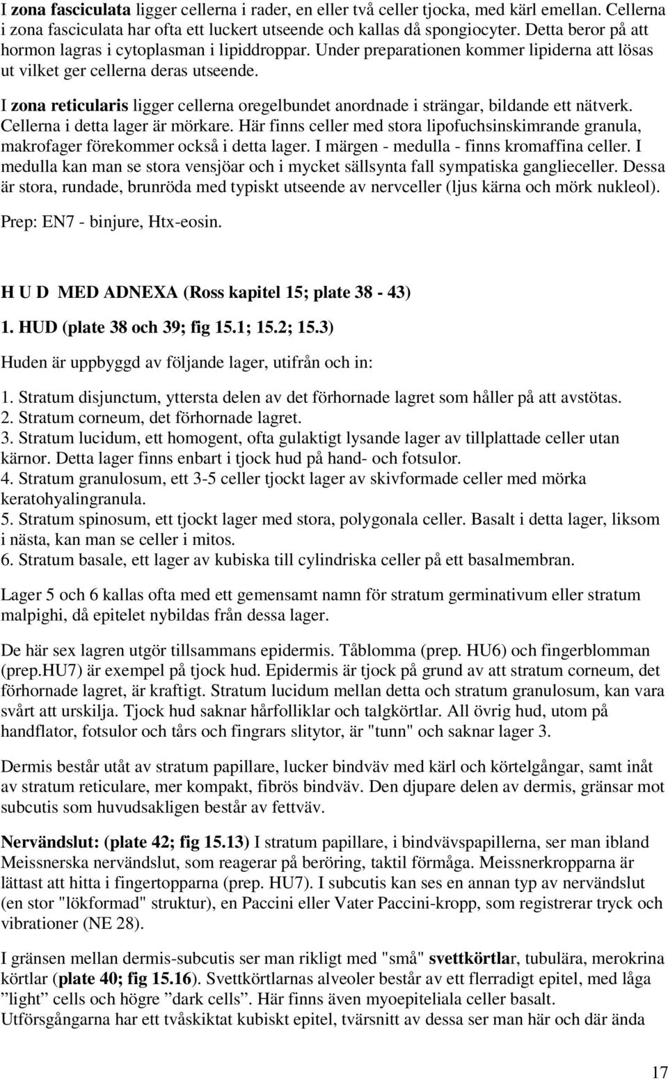 I zona reticularis ligger cellerna oregelbundet anordnade i strängar, bildande ett nätverk. Cellerna i detta lager är mörkare.