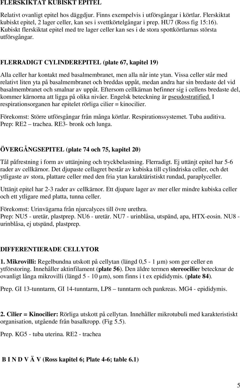 FLERRADIGT CYLINDEREPITEL (plate 67, kapitel 19) Alla celler har kontakt med basalmembranet, men alla når inte ytan.