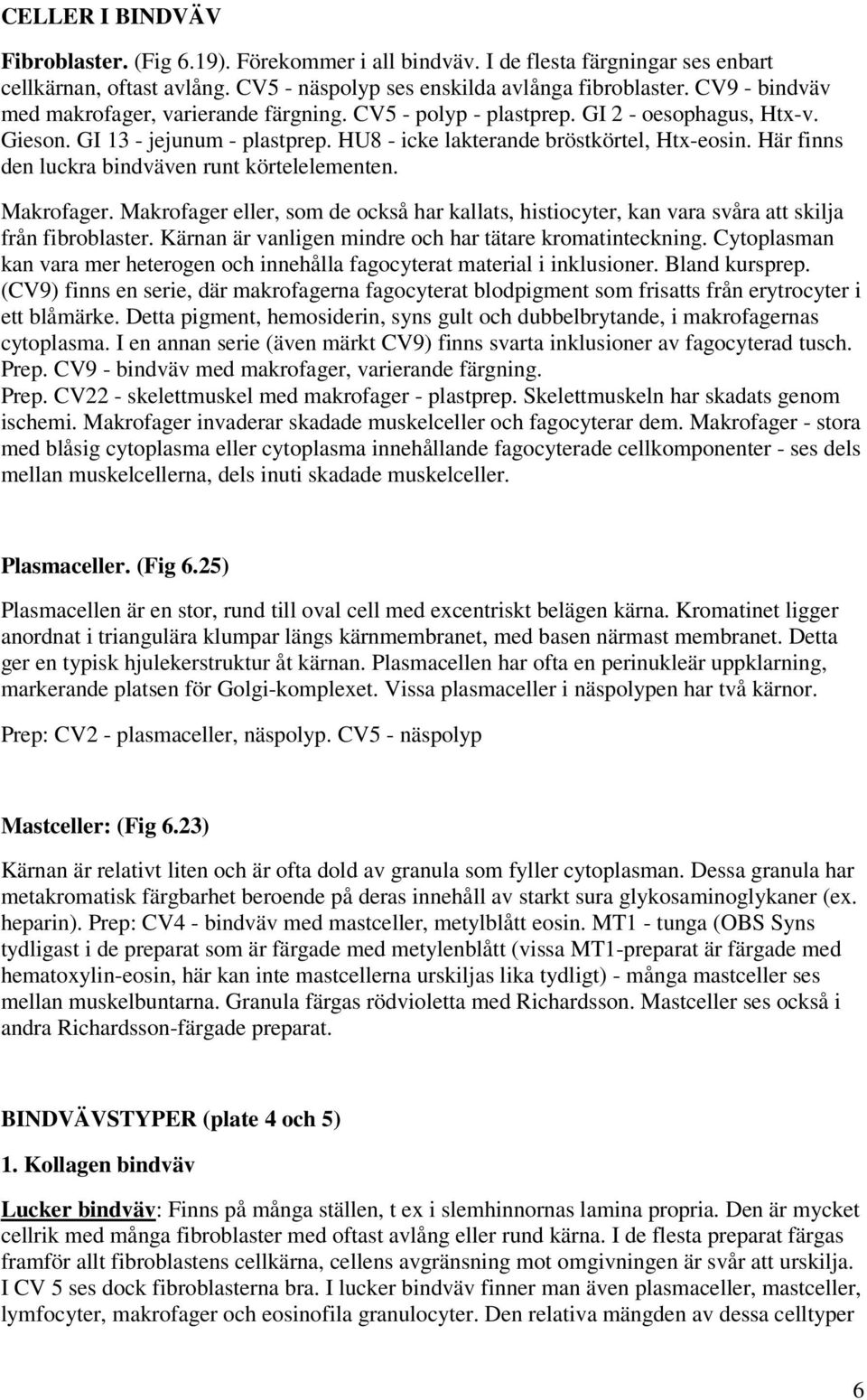 Här finns den luckra bindväven runt körtelelementen. Makrofager. Makrofager eller, som de också har kallats, histiocyter, kan vara svåra att skilja från fibroblaster.