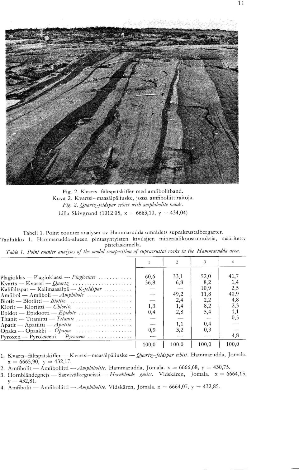 Hammarudda-alueen pintasyntyisten kivilajien mineraalikoostumuksia, maaritetty pistelaskimclla. Table 1. Point counter analyses of the modal composition of supracrustal rocks in the Hammarudda area.