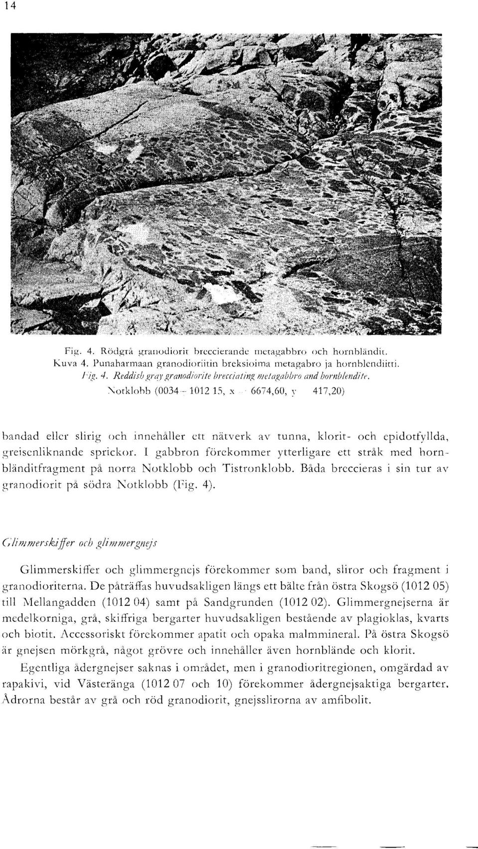 I gabbron forekommer ytterligare ett strak med hornblenditfragment pa norra Notklobb och Tistronklobb. Bada breccieras i sin tur av granodiorit pa sodra Notklobb (Fig. 4).