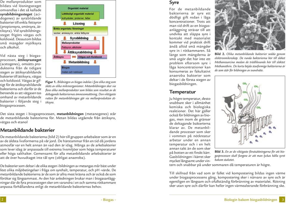 Vid nästa steg i biogasprocessen, ättiksyrasteget (acetogenes), omsätts produkterna från de tidigare stegen av ättiksyrabildande bakterier till ättiksyra, vätgas och koldioxid.