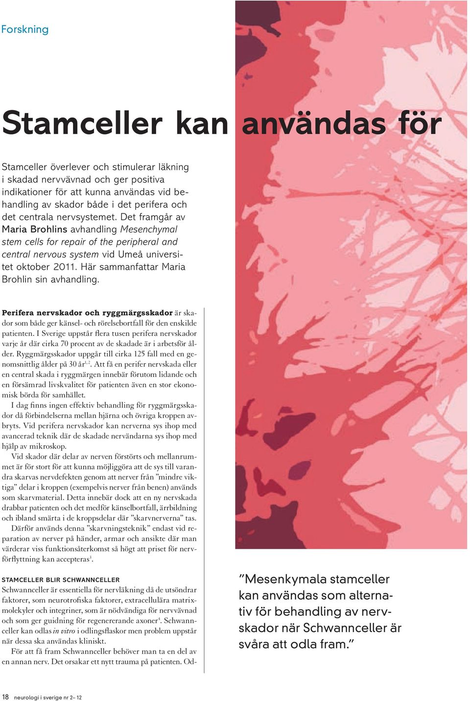 Här sammanfattar Maria Brohlin sin avhandling. Perifera nervskador och ryggmärgsskador är skador som både ger känsel- och rörelsebortfall för den enskilde patienten.