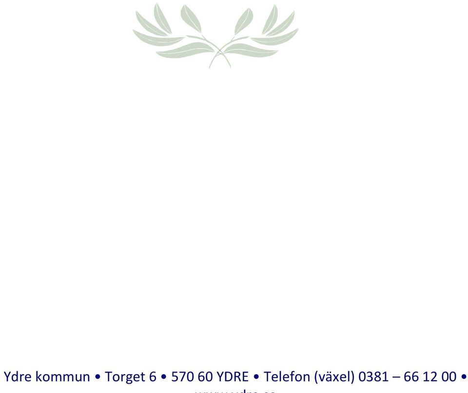 YDRE Telefon