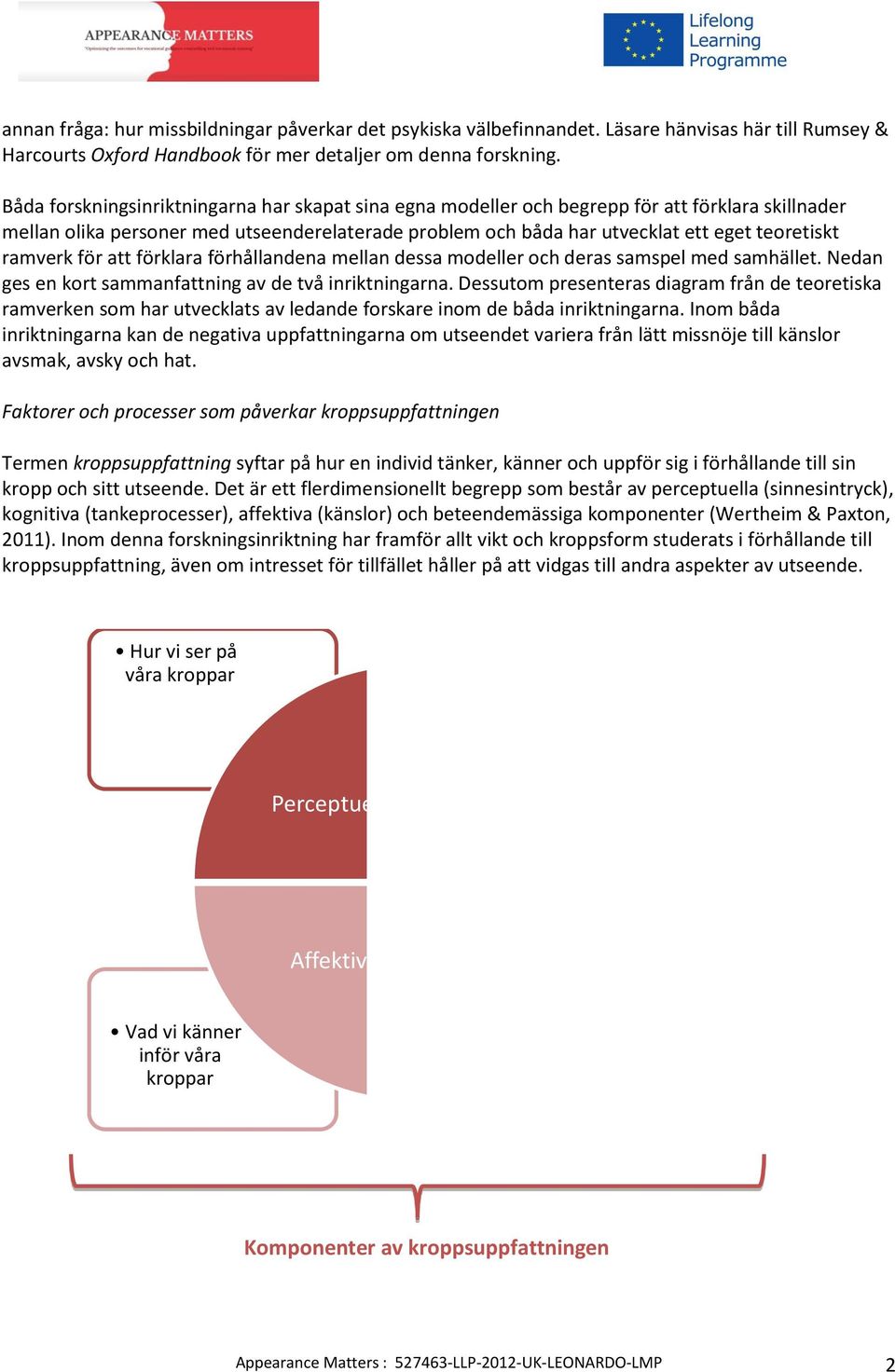 ramverk för att förklara förhållandena mellan dessa modeller och deras samspel med samhället. Nedan ges en kort sammanfattning av de två inriktningarna.