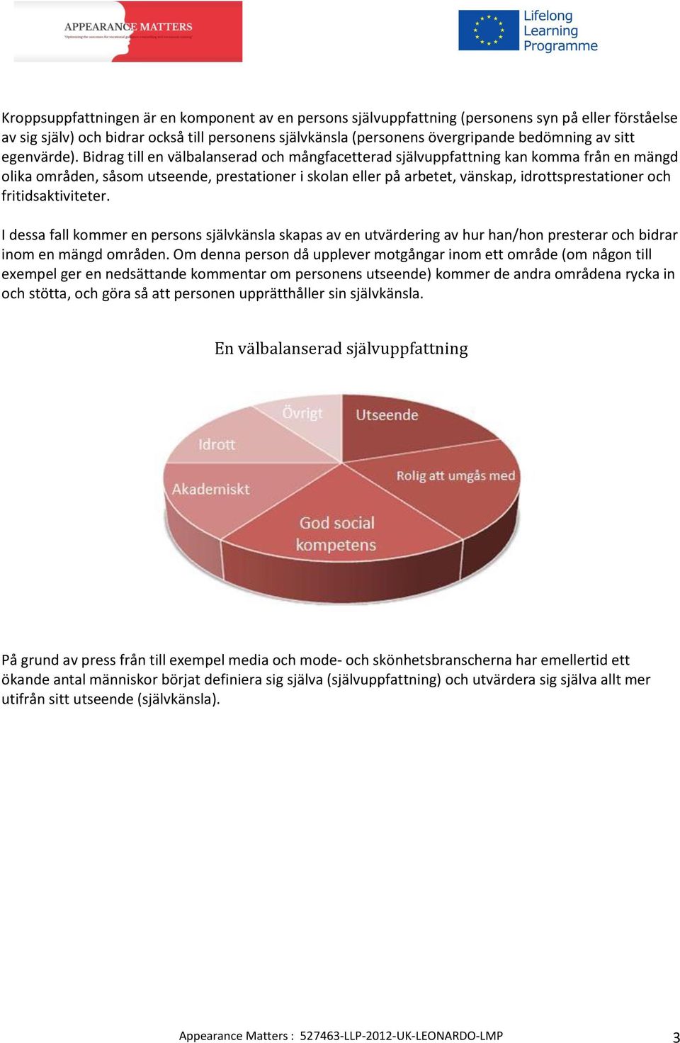 Bidrag till en välbalanserad och mångfacetterad självuppfattning kan komma från en mängd olika områden, såsom utseende, prestationer i skolan eller på arbetet, vänskap, idrottsprestationer och