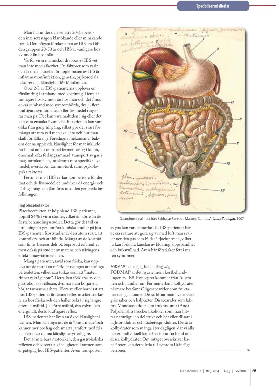 De faktorer som varit och är mest aktuella för uppkomsten av IBS är inflammation/infektion, genetik, psykosociala faktorer och känslighet för födoämnen.