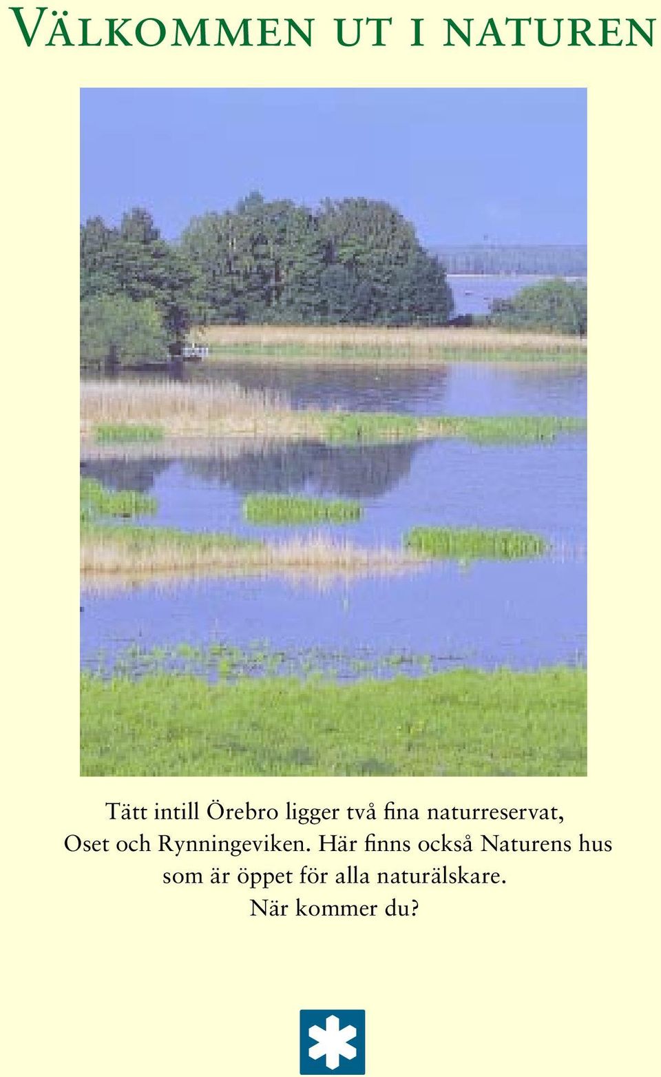 Rynningeviken.
