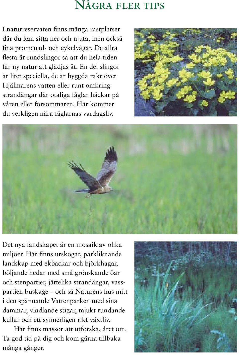 En del slingor är litet speciella, de är byggda rakt över Hjälmarens vatten eller runt omkring strandängar där otaliga fåglar häckar på våren eller försommaren.