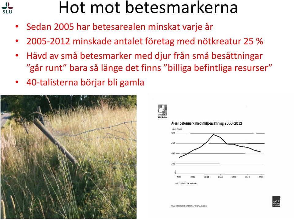 betesmarker med djur från små besättningar går runt bara så länge