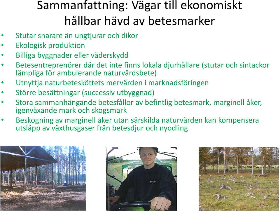 naturbetesköttets mervärden i marknadsföringen Större besättningar (successiv utbyggnad) Stora sammanhängande betesfållor av befintlig betesmark,