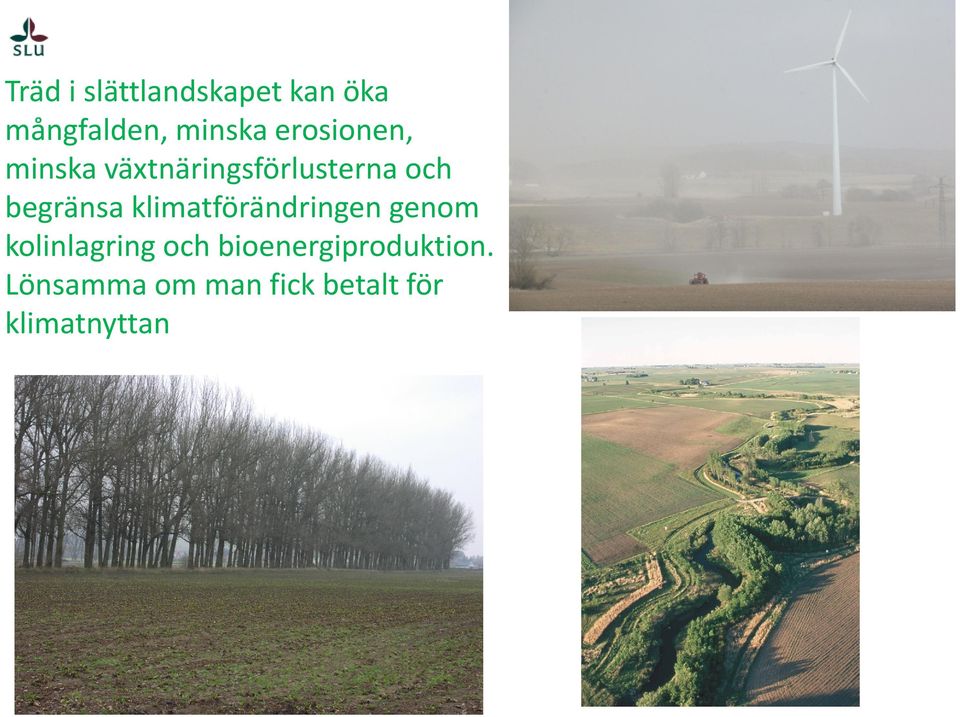 begränsa klimatförändringen genom kolinlagring och