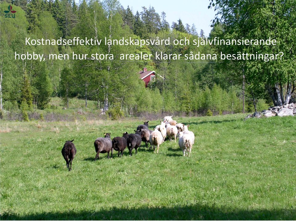 självfinansierande hobby,