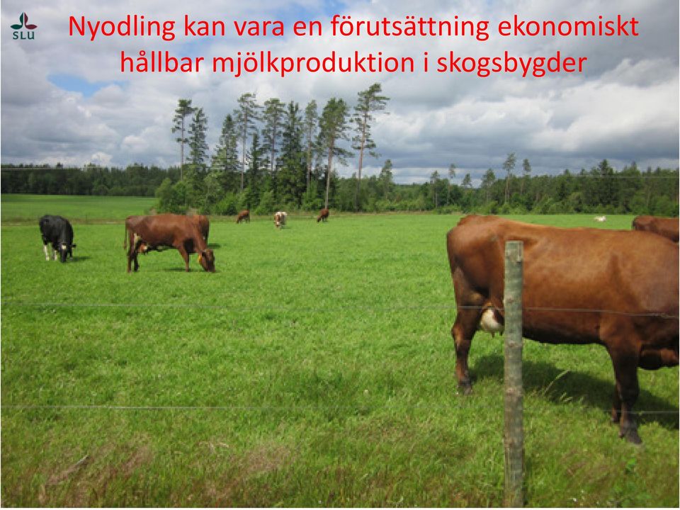 ekonomiskt hållbar