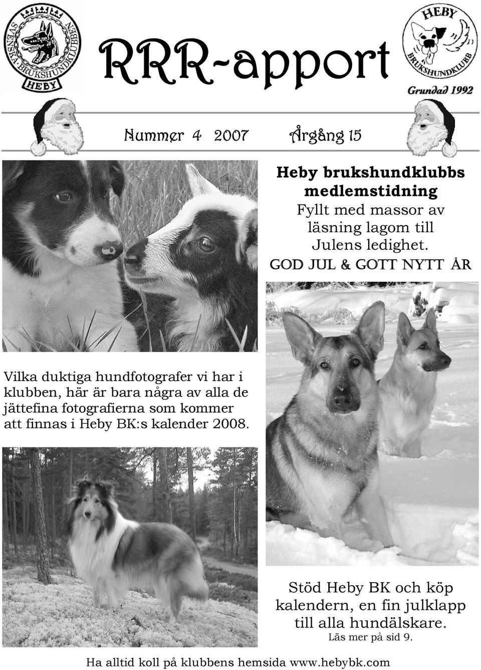 GOD JUL & GOTT NYTT ÅR Vilka duktiga hundfotografer vi har i klubben, här är bara några av alla de jättefina