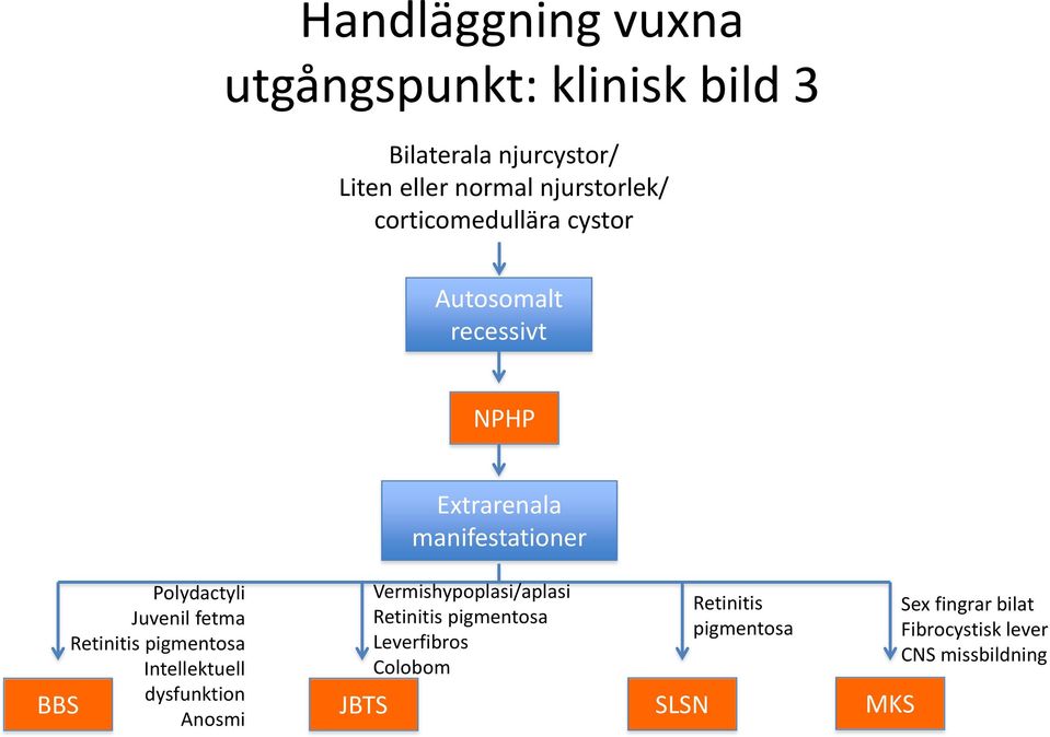 Intellektuell dysfunktion Anosmi Extrarenala manifestationer Vermishypoplasi/aplasi Retinitis pigmentosa