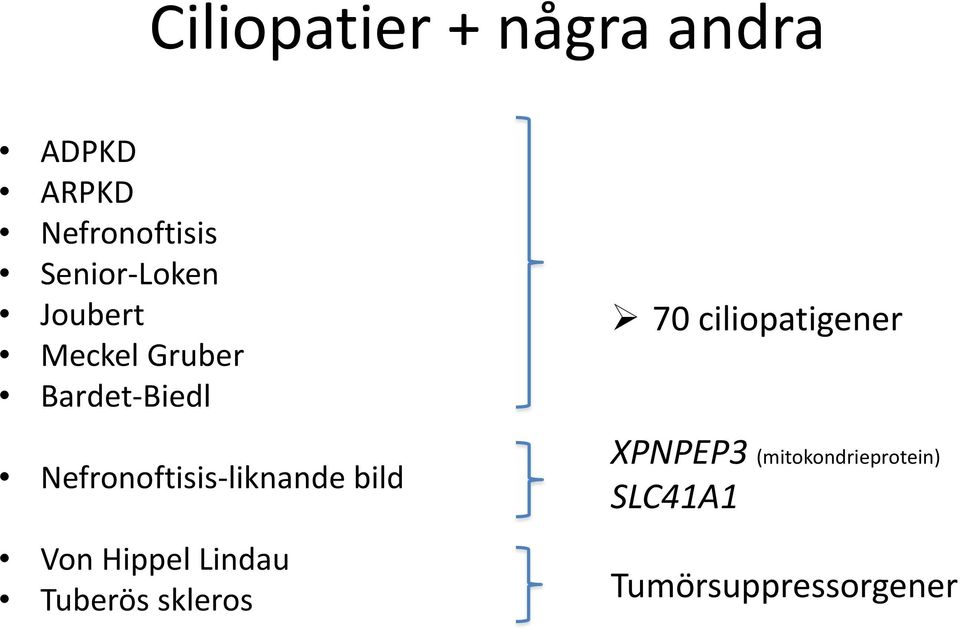 Nefronoftisis-liknande bild Von Hippel Lindau Tuberös