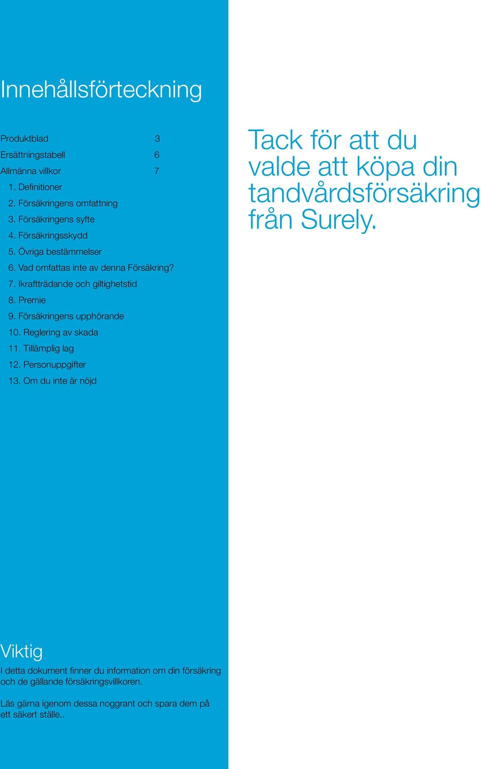 Försäkringens upphörande 10. Reglering av skada 11. Tillämplig lag 12. Personuppgifter 13.