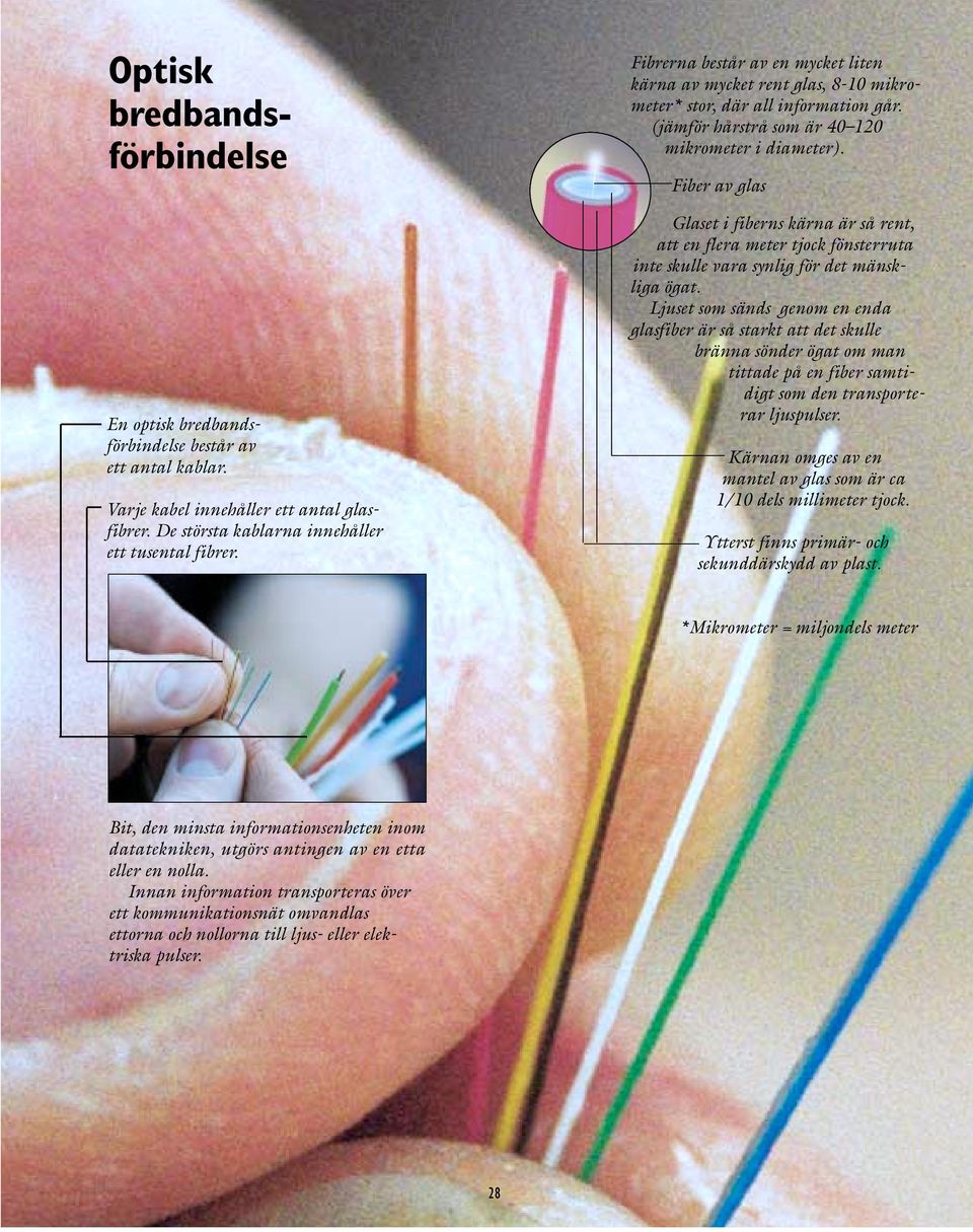 Fiber av glas Glaset i fiberns kärna är så rent, att en flera meter tjock fönsterruta inte skulle vara synlig för det mänskliga ögat.